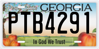 GA license plate PTB4291