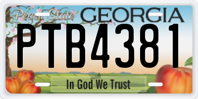GA license plate PTB4381
