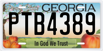 GA license plate PTB4389
