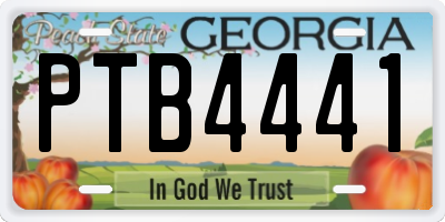 GA license plate PTB4441