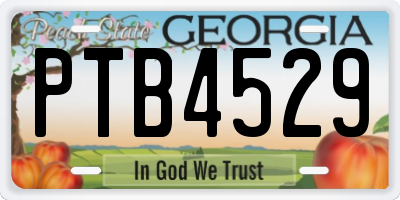 GA license plate PTB4529