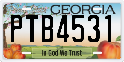 GA license plate PTB4531