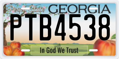 GA license plate PTB4538