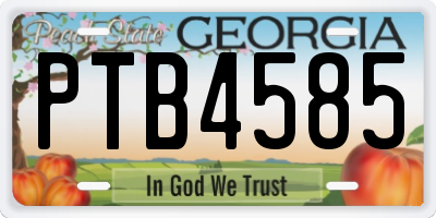 GA license plate PTB4585