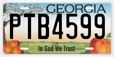 GA license plate PTB4599