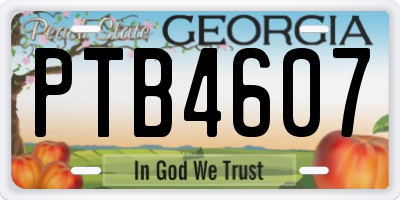GA license plate PTB4607