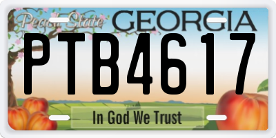 GA license plate PTB4617