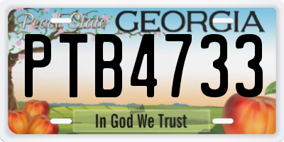 GA license plate PTB4733