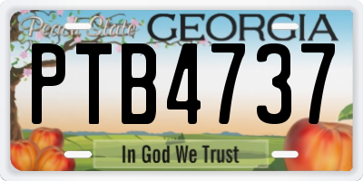 GA license plate PTB4737