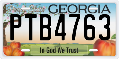 GA license plate PTB4763