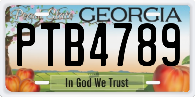 GA license plate PTB4789