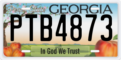 GA license plate PTB4873