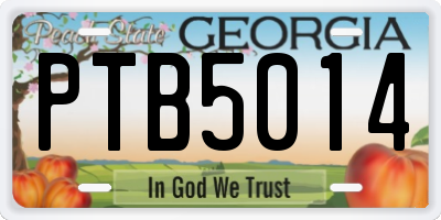 GA license plate PTB5014