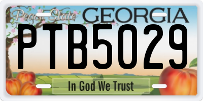GA license plate PTB5029