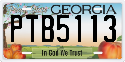 GA license plate PTB5113