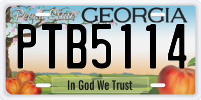 GA license plate PTB5114