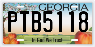 GA license plate PTB5118