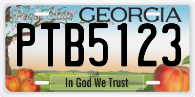 GA license plate PTB5123