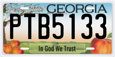 GA license plate PTB5133