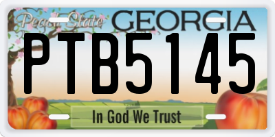 GA license plate PTB5145
