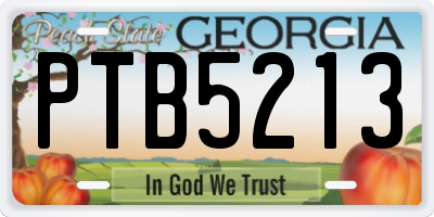 GA license plate PTB5213