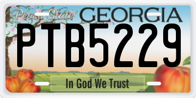 GA license plate PTB5229