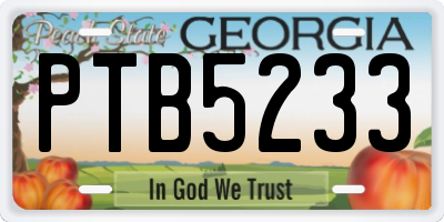 GA license plate PTB5233