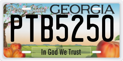 GA license plate PTB5250