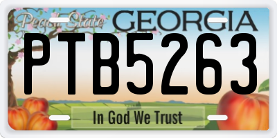 GA license plate PTB5263
