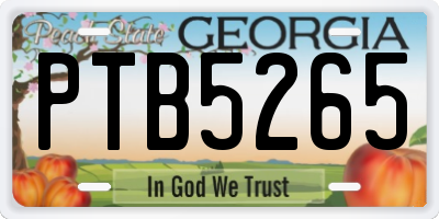 GA license plate PTB5265