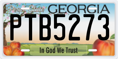 GA license plate PTB5273