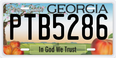 GA license plate PTB5286