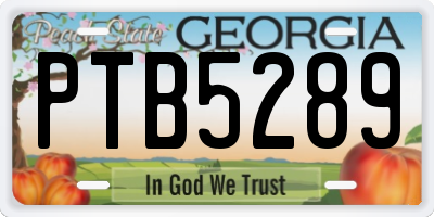 GA license plate PTB5289