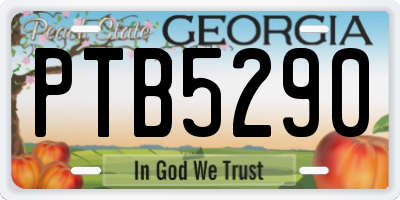 GA license plate PTB5290