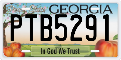 GA license plate PTB5291