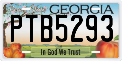 GA license plate PTB5293