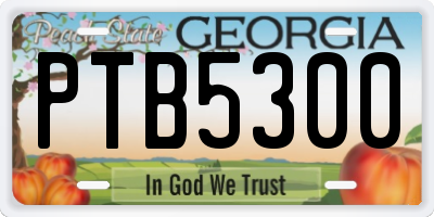 GA license plate PTB5300