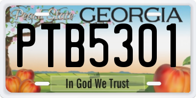 GA license plate PTB5301