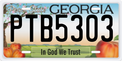 GA license plate PTB5303