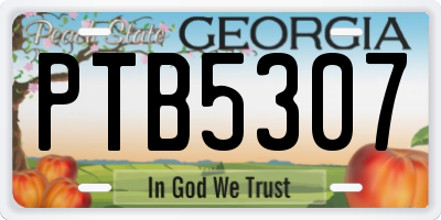 GA license plate PTB5307