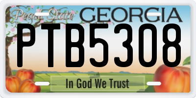 GA license plate PTB5308