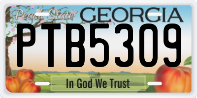 GA license plate PTB5309