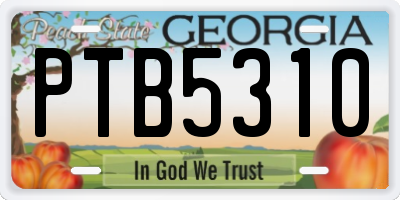 GA license plate PTB5310