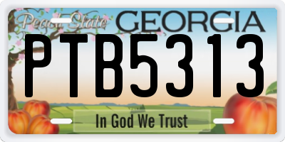 GA license plate PTB5313