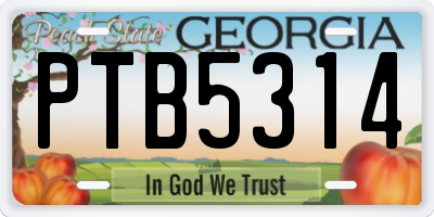 GA license plate PTB5314
