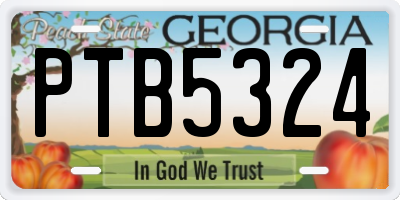 GA license plate PTB5324