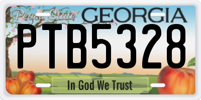 GA license plate PTB5328