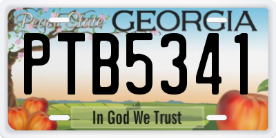 GA license plate PTB5341