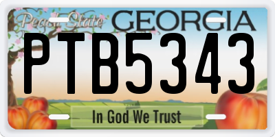 GA license plate PTB5343