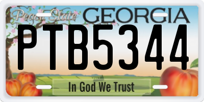 GA license plate PTB5344